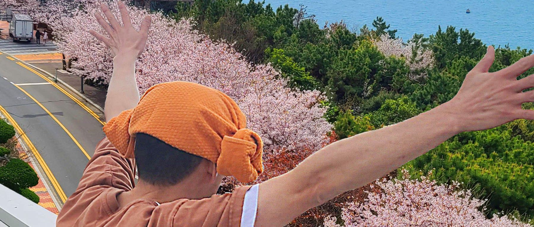 獨自一人也能盡情享受賞櫻樂趣～